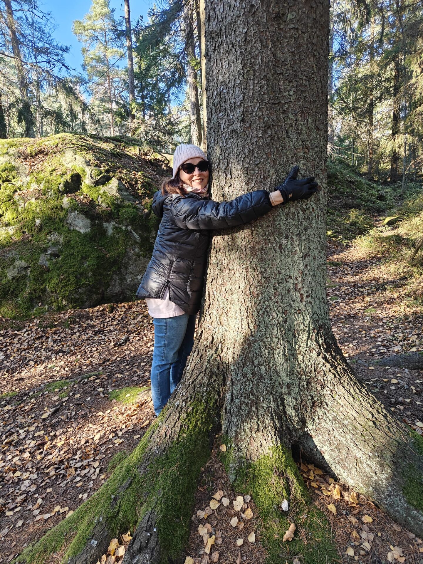 Kirsi halaa puuta